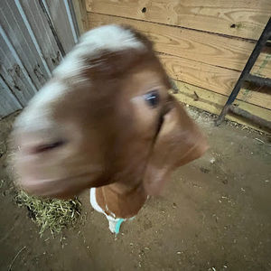 Meet your Posher, Jadelynn